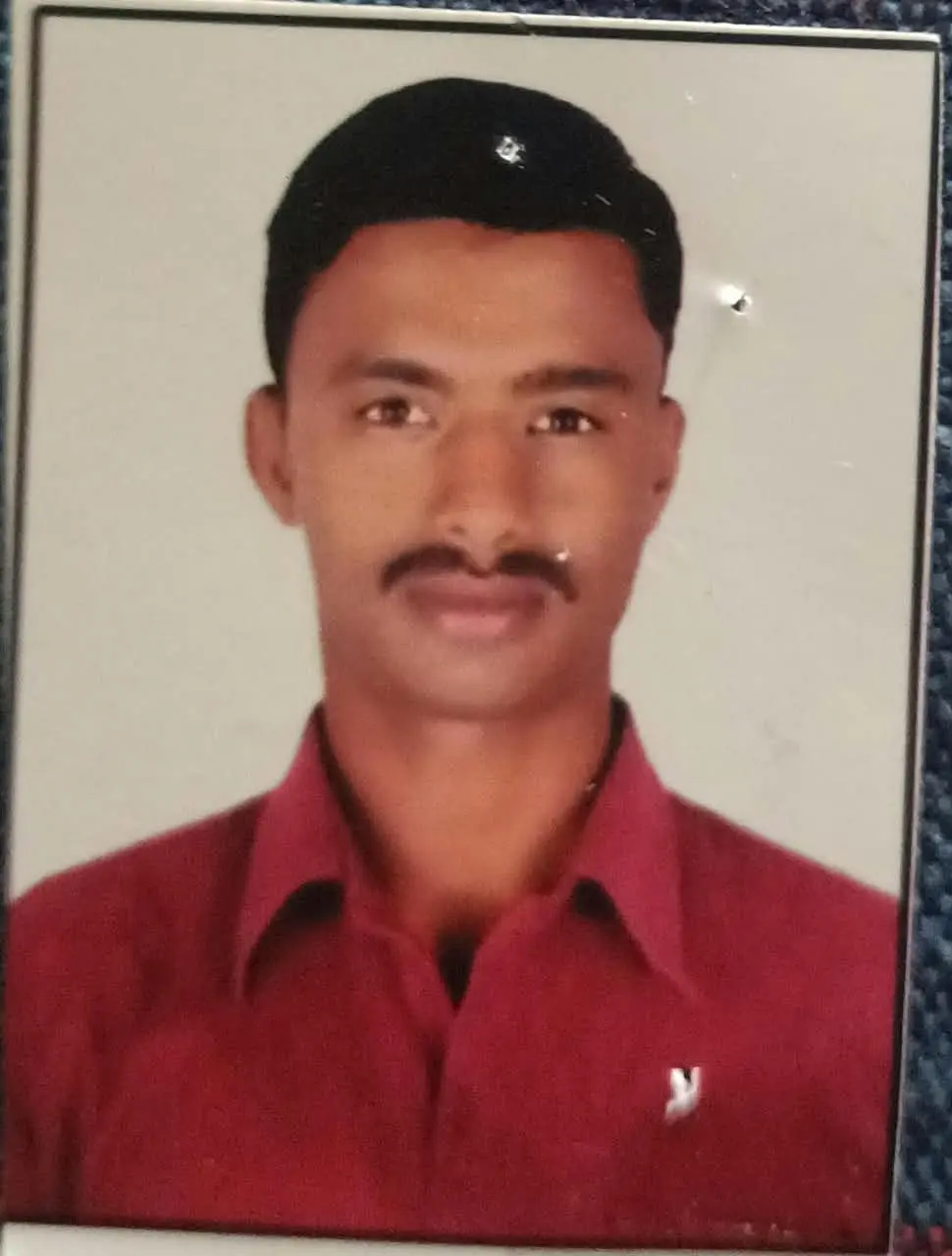 Groom Profile